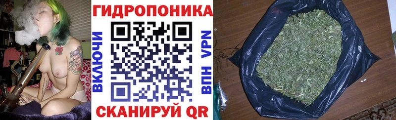 Все наркотики Мышкин Амфетамин  A-PVP  ГАШ  Псилоцибиновые грибы  COCAIN 