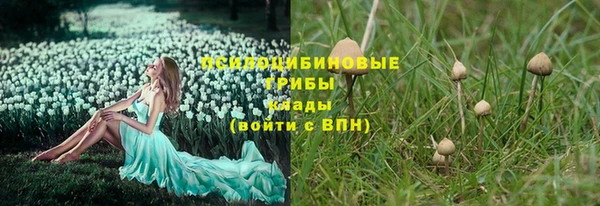 прущая мука Остров