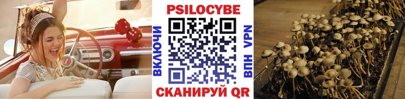 Псилоцибиновые грибы мухоморы  купить   Мышкин 
